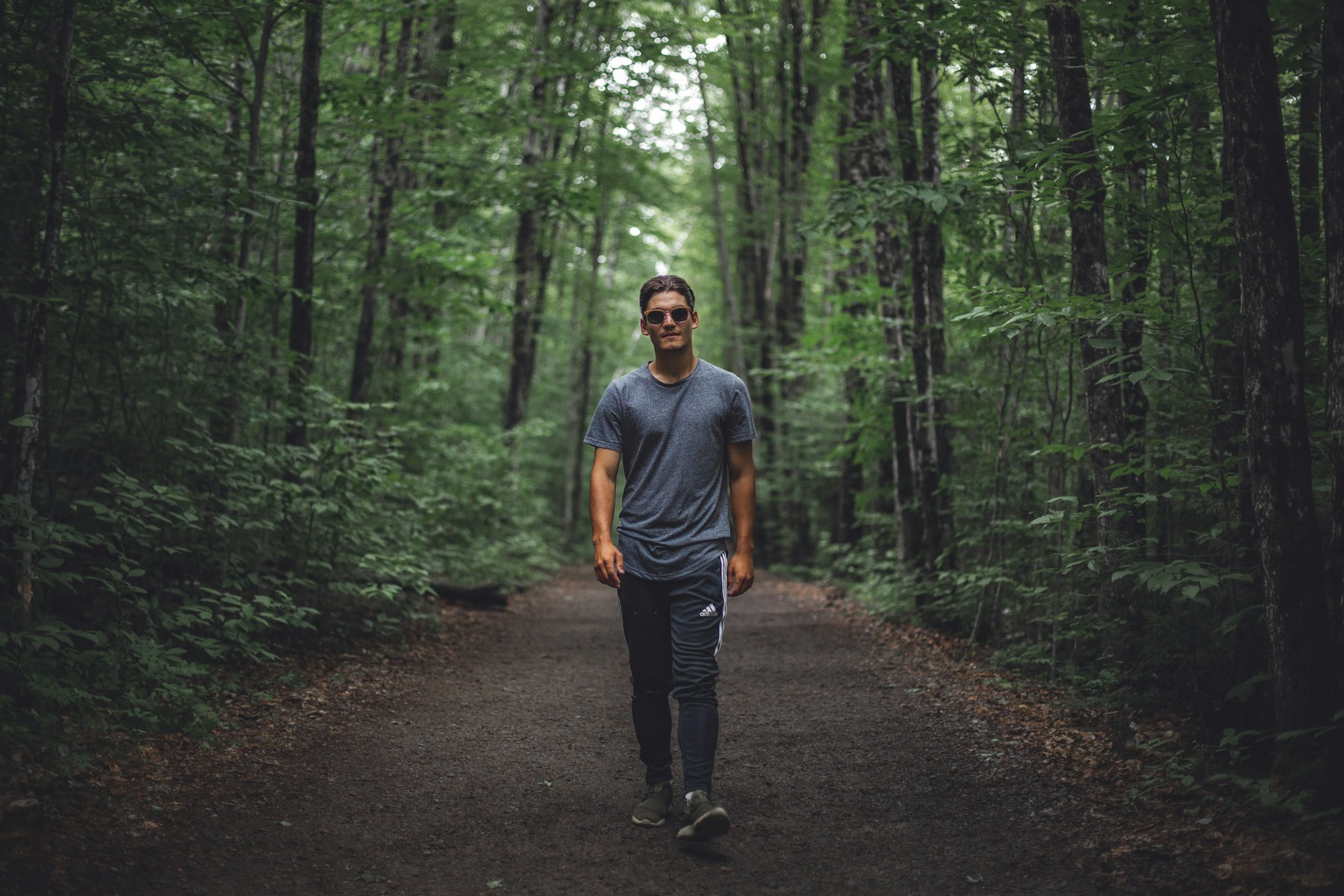 A walker following a peaceful path through a green forest