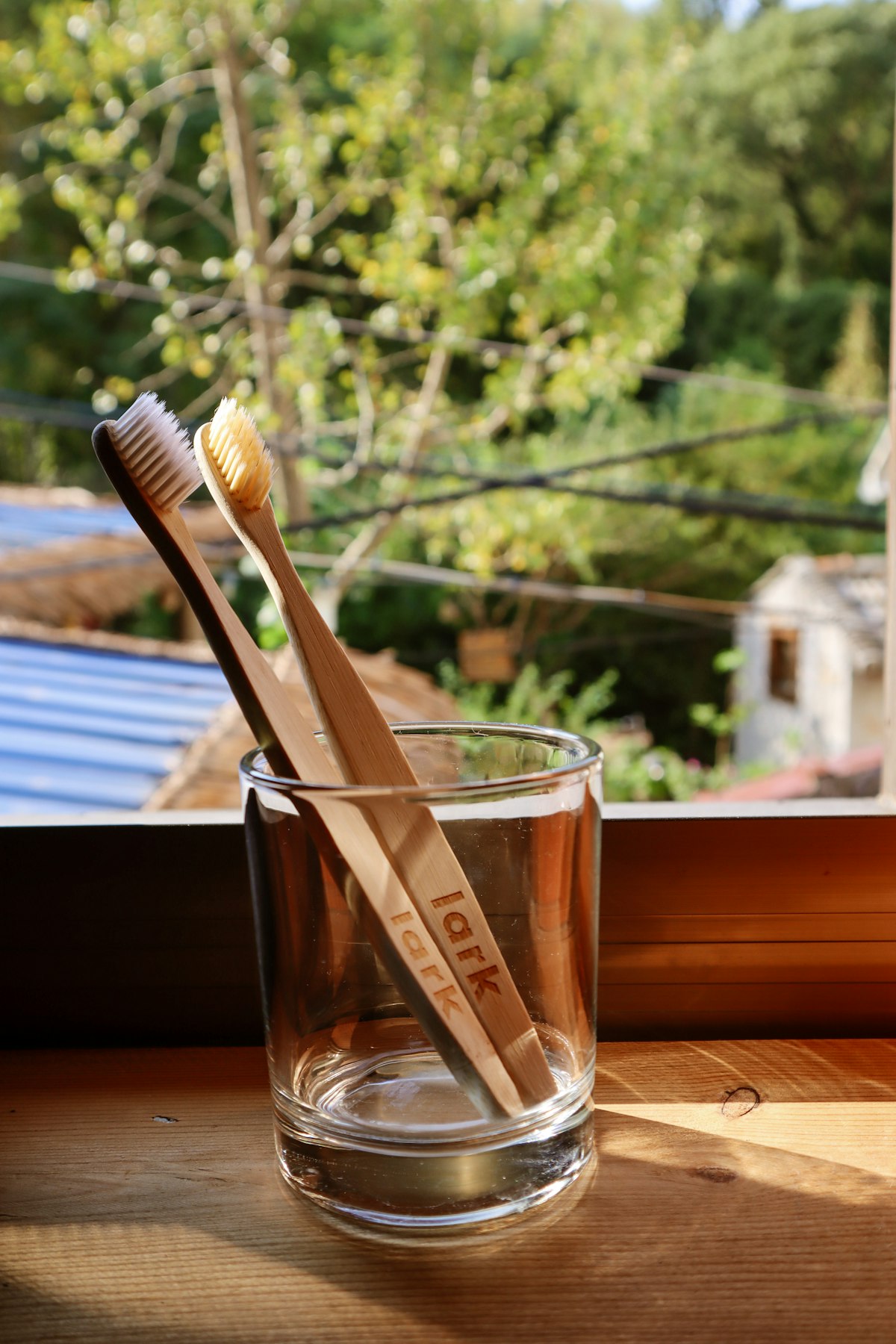 Two bamboo toothbrushes in a glass beside a window