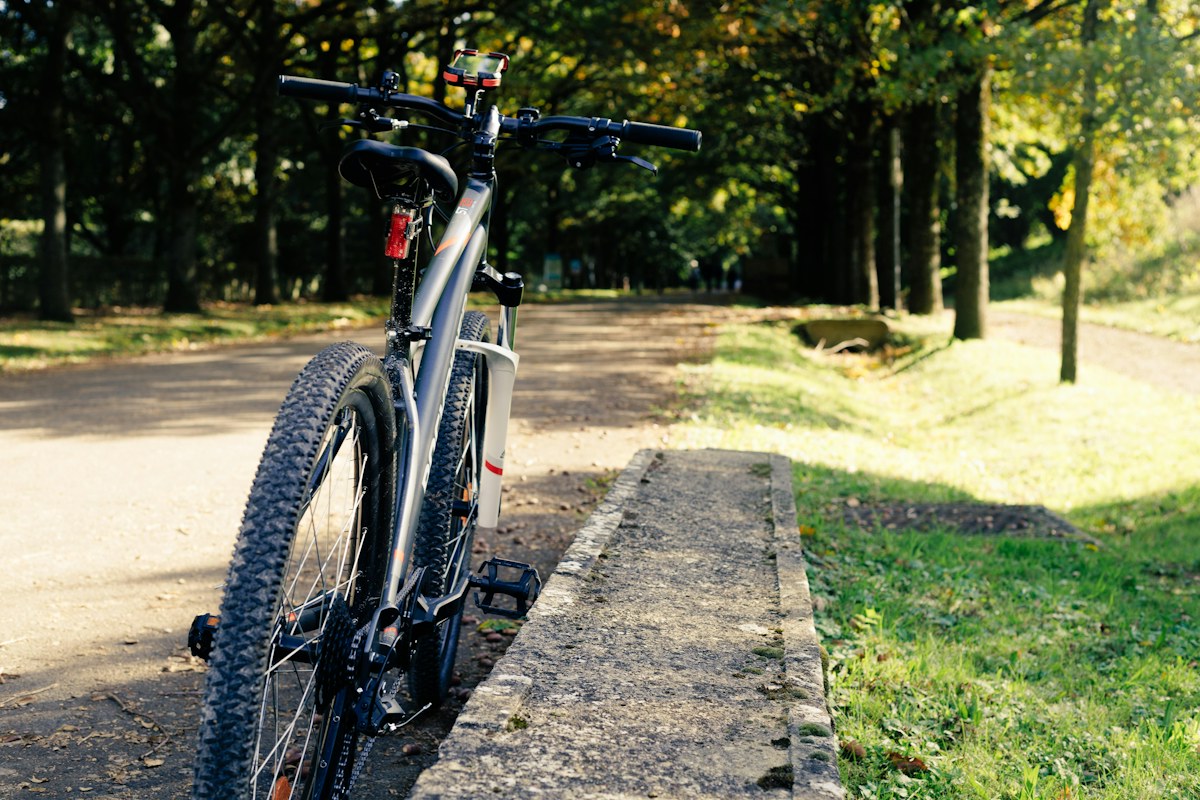 A bicycle resting beside a tree-lined park path